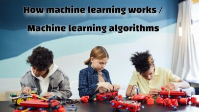 How machine learning works / Machine learning algorithms